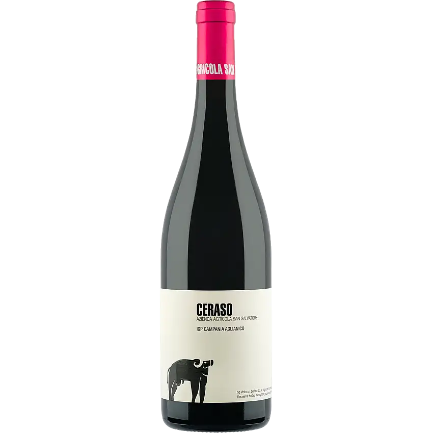 San Salvatore 'Ceraso' Aglianico, Paestum IGT, Campania, Italy