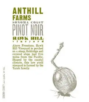 Anthill Farms Hawk Hill Vineyard Pinot Noir 2019 750ml